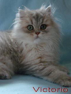 Victorio